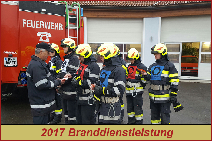 Branddienstleistung 2017